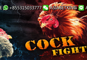 SV388 Sabung Ayam Online